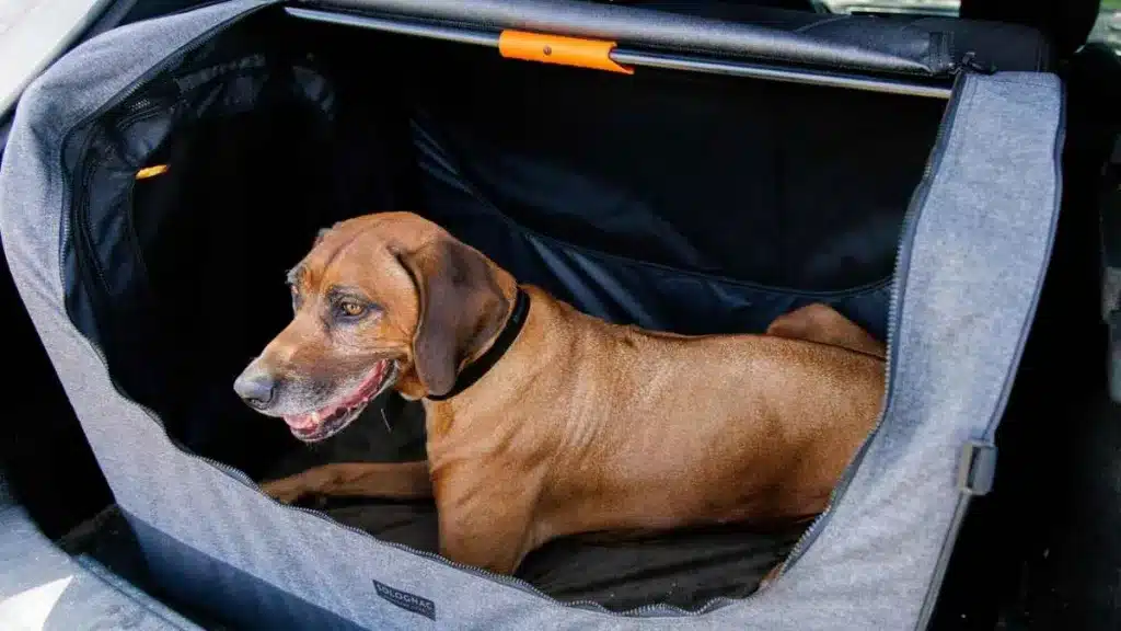 Código de descuento en Decathlon: el transportín para perros de Solognac, más barato que nunca