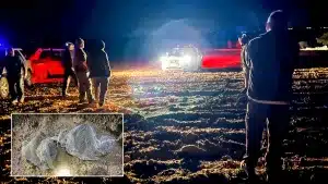 Tres furtivos que cogían perdices con red por la noche son capturados gracias a los guardas de un coto de caza de Sevilla