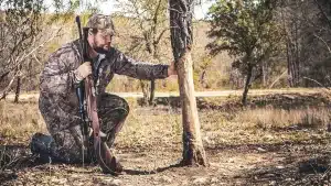 ¿Dónde hay más probabilidades de abatir un jabalí de récord en España?