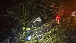 Deja su coche hecho un amasijo tras atropellar a un jabalí y tiene que salir por la puerta de atrás