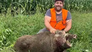 Cazan un enorme jabalí de casi 150 kilos en Asturias