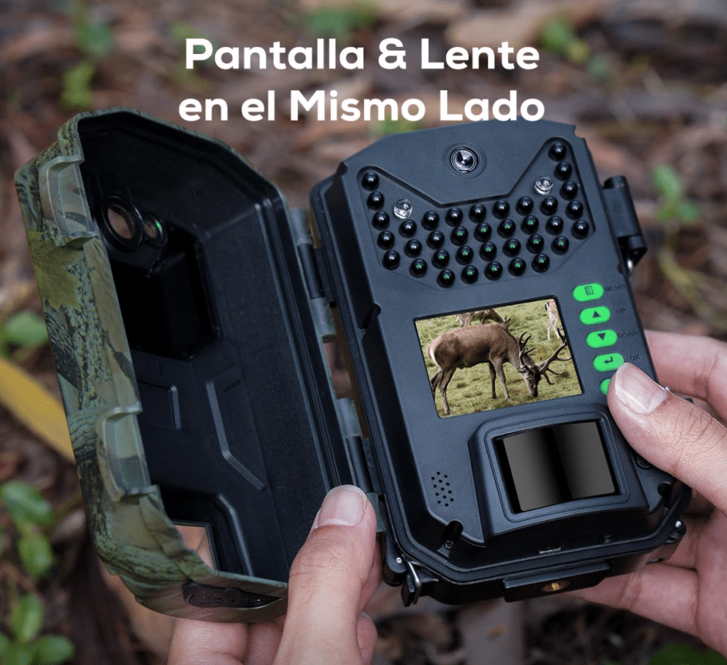 Proteger cámaras de fototrampeo y caza