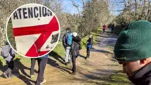 Decenas de senderistas se cuelan en una batida de jabalí en Salamanca y se burlan de los cazadores