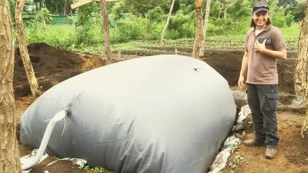 Este sistema permite a los ganaderos conseguir biogás con los excrementos de sus animales