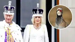 La reina Camila se va a cazar perdices a Ciudad Real durante su baja por agotamiento laboral