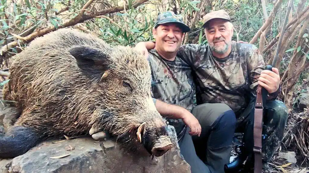Un cazador abate un jabalí de enormes colmillos tras años siguiendo sus rastros en Córdoba