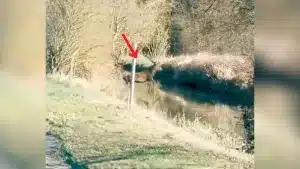 Un ciervo cruza a toda velocidad una carretera y de un salto sobrepasa este río