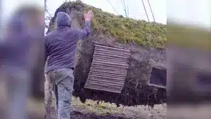 Construye un ingenioso refugio de barro que cuelga de un árbol