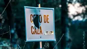 Este es el multazo por romper una tablilla o señal de caza en Castilla y León