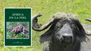 ÁFRICA-EN-LA-PIEL