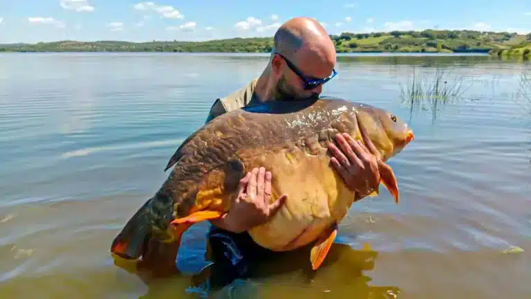 El pescador con la enorme carpa. © R.D.L.