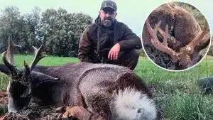 Un cazador abate dos enormes corzos multipuntas en la misma zona y con solo unos días de diferencia