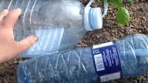 Este ingenioso sistema permite regar por goteo con solo dos botellas de plástico y la luz del sol