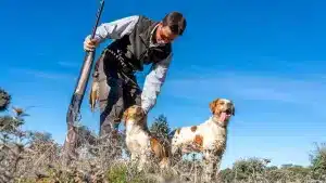 Fechas y días hábiles de caza en Castilla y León para la temporada 2024/2025