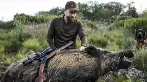 Cazan al Rubio: un enorme jabalí de la montaña de León