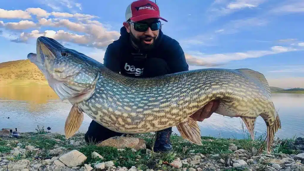 Un pescador captura por sorpresa un gran lucio de casi 10 kilos en Jaén