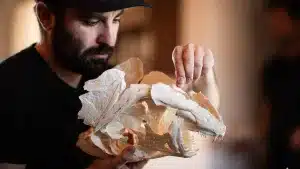 Un pescador reconstruye la cabeza del increíble dentón récord del mundo pescado en Ceuta
