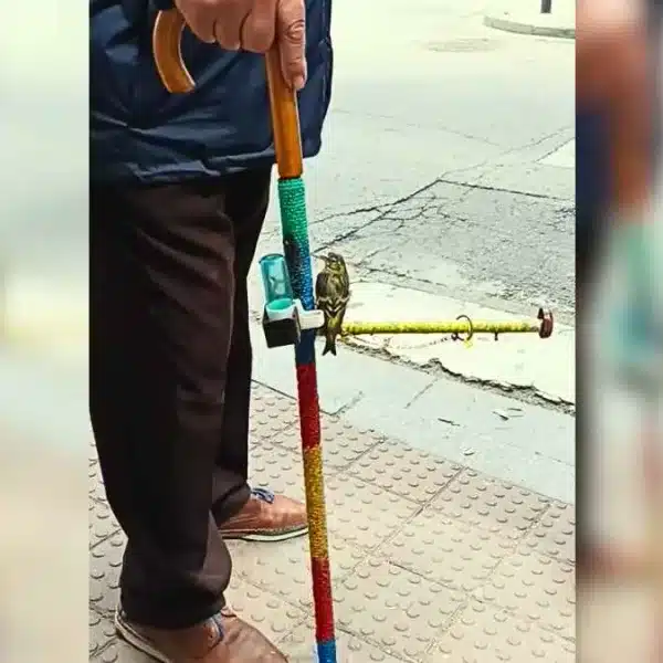 Un jubilado inventa un original bastón para sacar de paseo a su pájaro