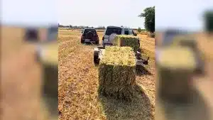 El truco de este agricultor para subir grandes pacas de paja a un remolque sin tractor