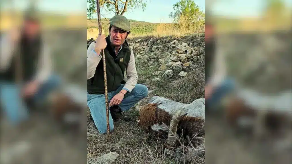 Un cazador lanza este mensaje a ecologistas y políticos tras encontrar un macho montés con sarna