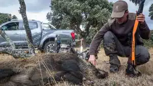 La Federación de Caza de la Comunidad Valenciana presenta alegaciones al decreto para comercializar la carne de caza