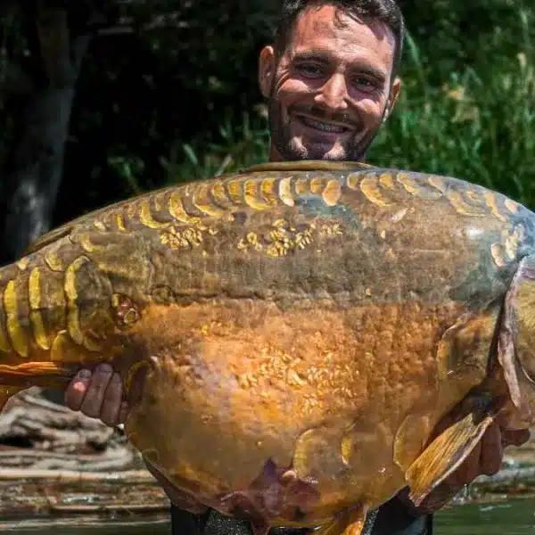 Pescan una carpa de más de 27 kilos en un embalse de Zaragoza
