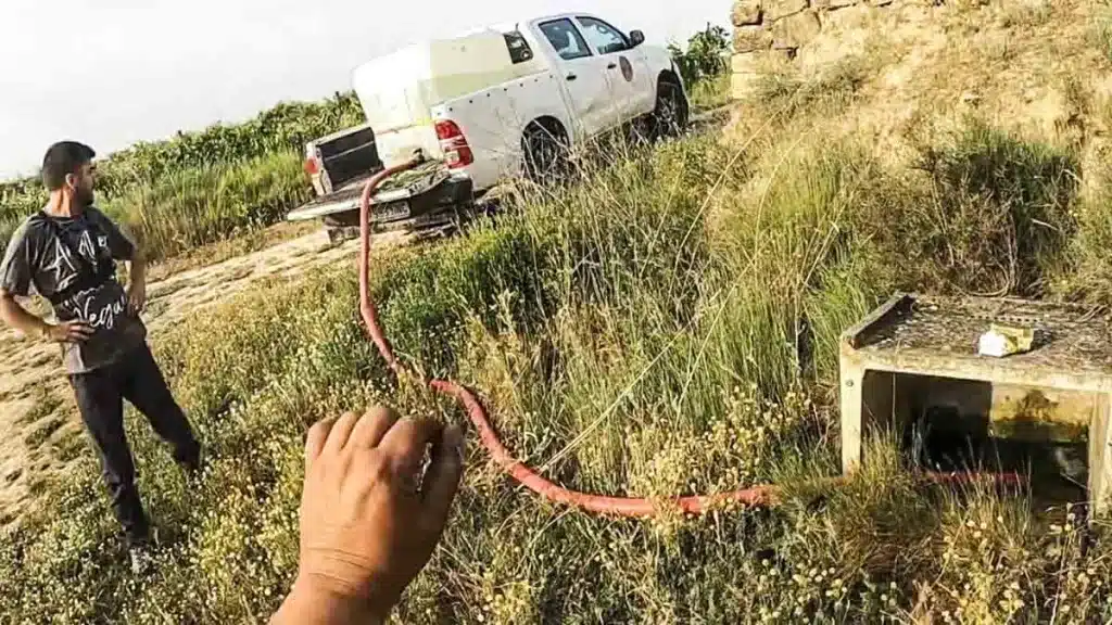 El guarda de caza que ofreció 100 euros y comida por ayudarle a dar agua a los animales enseña a un vegano a rellenar bebederos