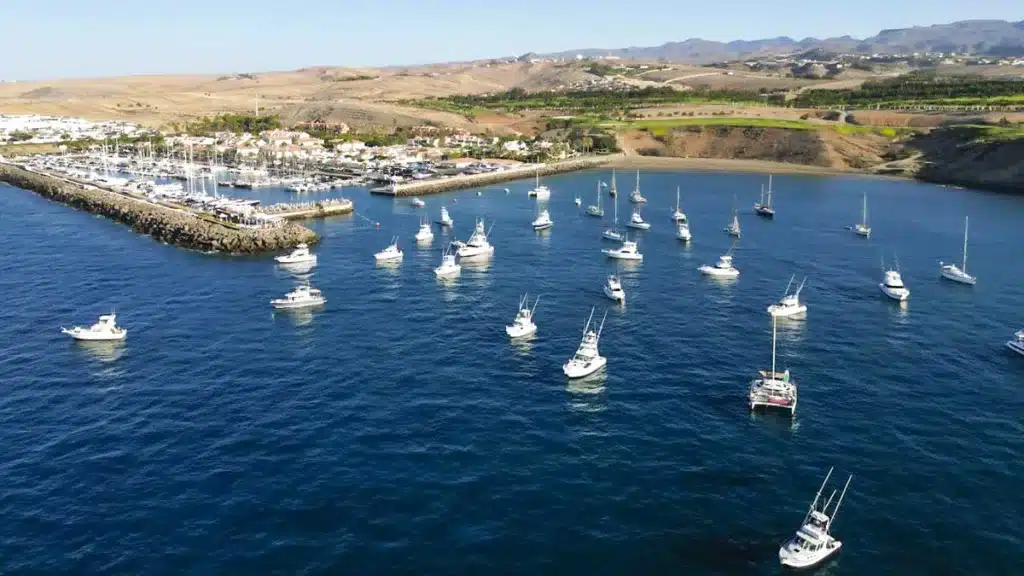 El Open internacional Pesca de Altura Gran Canaria se consolida en la élite