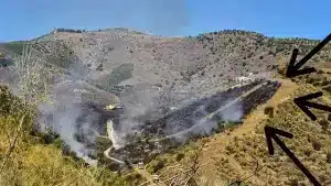 Los cortafuegos realizados por cazadores ayudan a extinguir un incendio forestal en Málaga