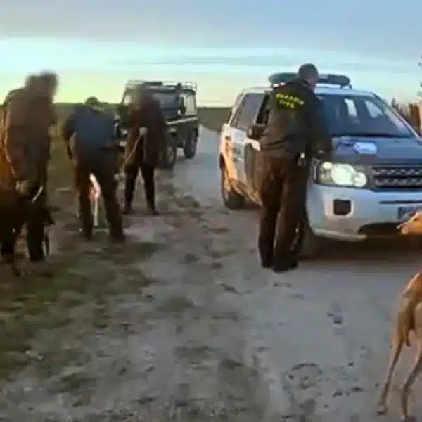 Agentes del Seprona pillan in fraganti a un grupo de furtivos de liebres con galgos: «Vaya encerrona nos habéis hecho»