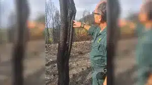 Un guardia civil explica cómo saber si un incendio ha sido originado por un rayo