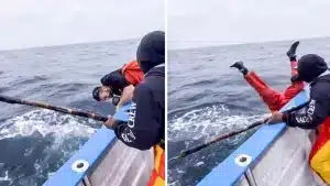 Un atún tira al agua al pescador que intentaba capturarlo con su caña