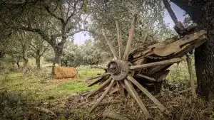 Carro abandonado en un lugar remoto.