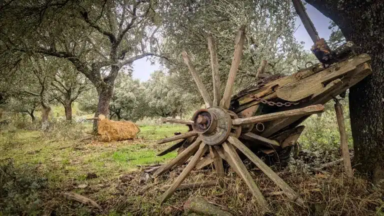 Carro abandonado en un lugar remoto.