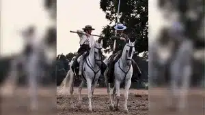 Este extraordinario poema que José León dedica al vaquero y su ganado emociona al medio rural