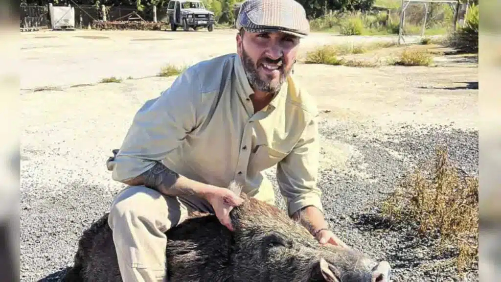 Cazan un singular jabalí de más de 100 kilos en Barcelona