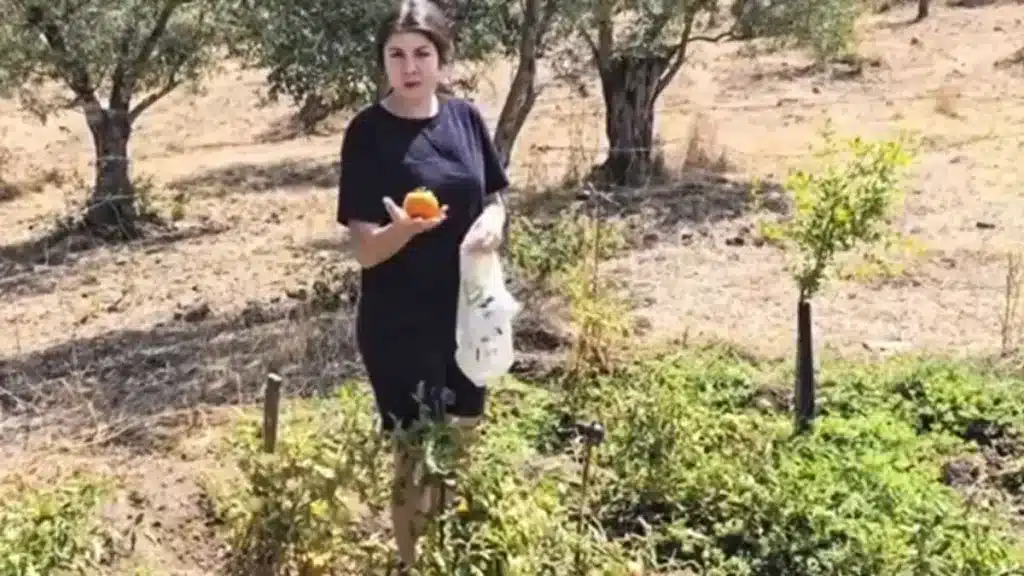 Una joven pastora explica el truco que utiliza para que maduren los tomates