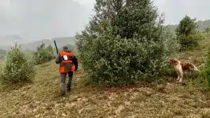 Vicente Lisandre, Laura Corbacho y Manuel Mora conquistan en Xert el Campeonato de España de San Huberto 2024