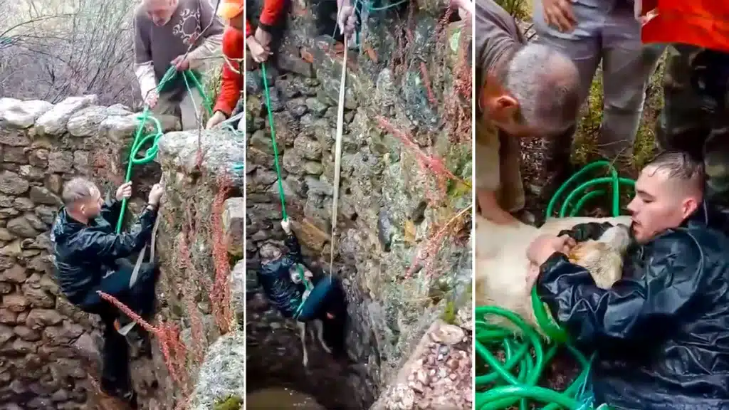 Un cazador da una lección de amor por su perro jugándose la vida en un pozo para rescatarlo