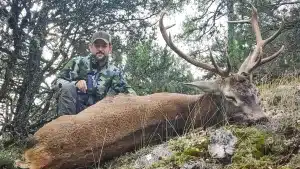 Berrea en el Alto Tajo: cazamos al rey del monte en uno de los terrenos más salvajes de España