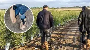 El genial invento de un andaluz para evitar que el barro se pegue en las botas