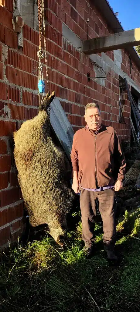 Cazó un jabalí de 140 kilos en Toledo.