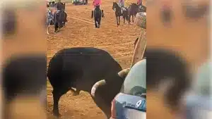 Un toro bravo embiste y vuelca un coche en un encierro en Guadalajara