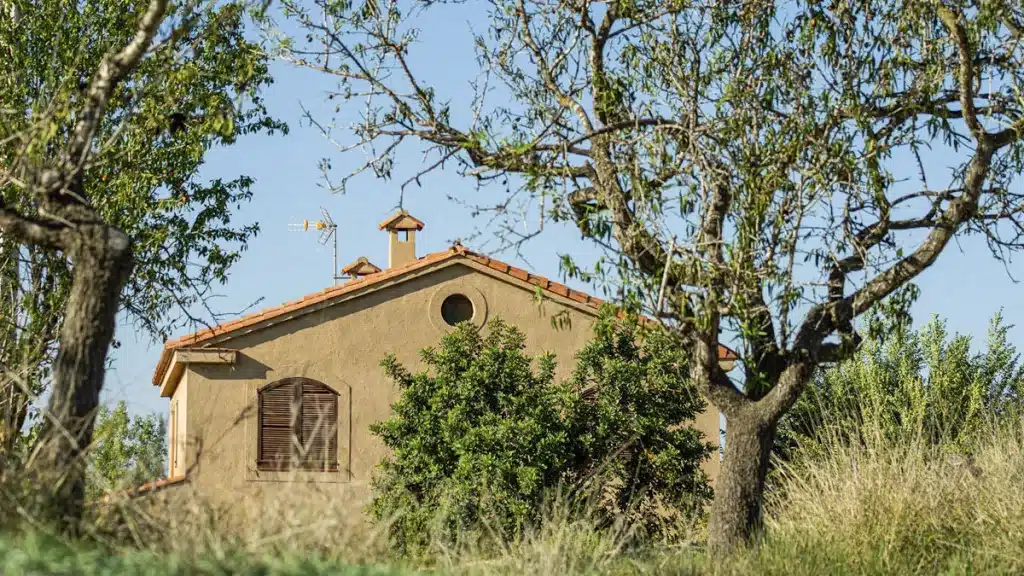 Finca rústica en venta