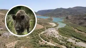 Ponen a la venta una finca de caza de 258 hectáreas en Almería por menos de lo que vale un casa