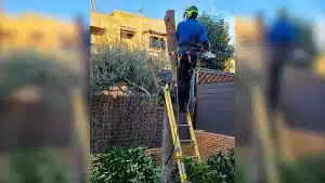 Un hombre pagó más de 4.000 euros por talar un árbol de su jardín.