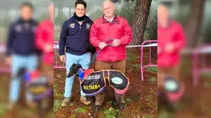 Robaron a la galga mientras su dueño estaba cogiendo aceitunas.