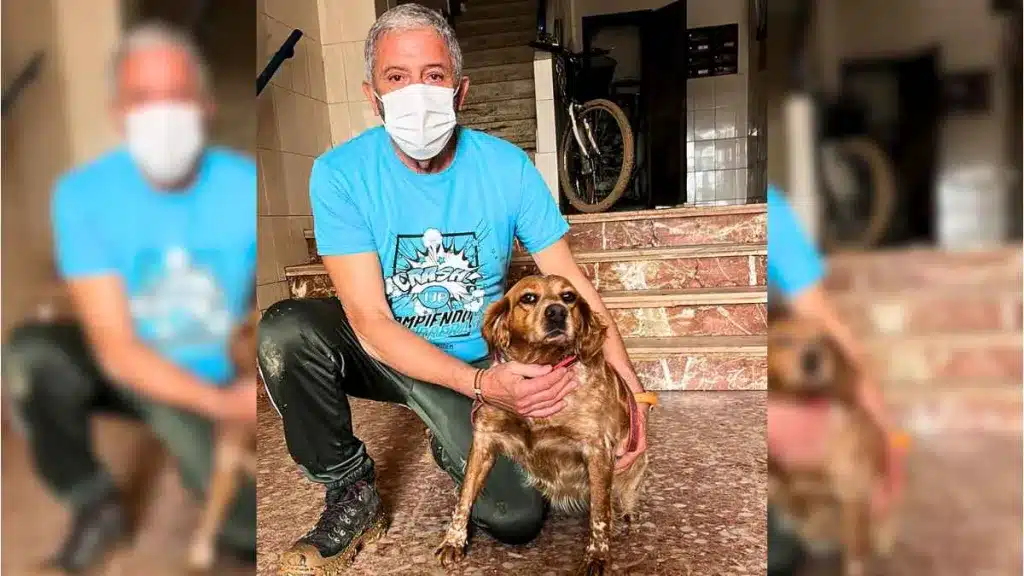 El cazador encontró a su perrita gracias a las redes sociales.