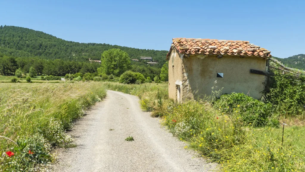 Hacienda necesita vender fincas rústicas España