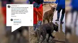 PACMA dice rescatar cuatro perros de caza ‘abandonados’ tras la DANA y dos animalistas desmontan su mentira